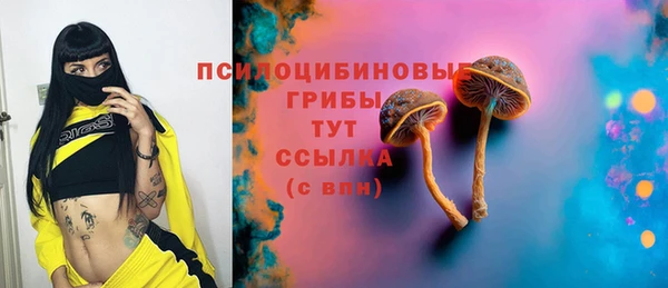 таблы Гусиноозёрск