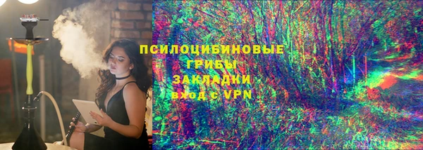 мдпв Гусь-Хрустальный