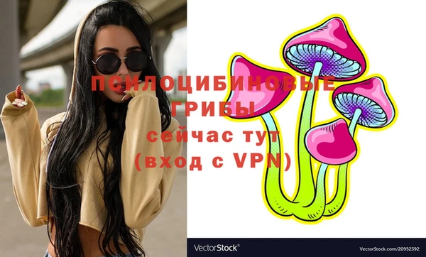 таблы Гусиноозёрск