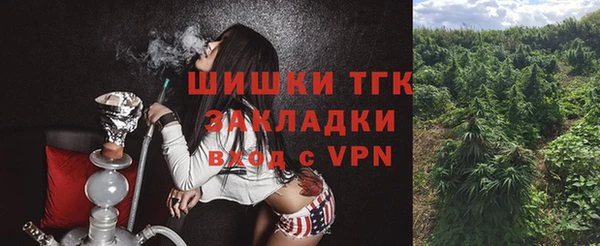 эйфоретик Дмитров
