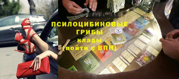 ALPHA-PVP Гусев