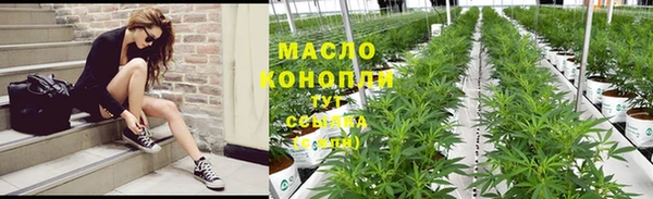 мдпв Гусь-Хрустальный