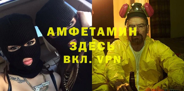 мдпв Гусь-Хрустальный
